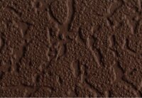 Düfa D231 Sockelfarbe