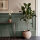 Cosy Colours Kreidefarbe | Lack Matt Mystic Lake Green